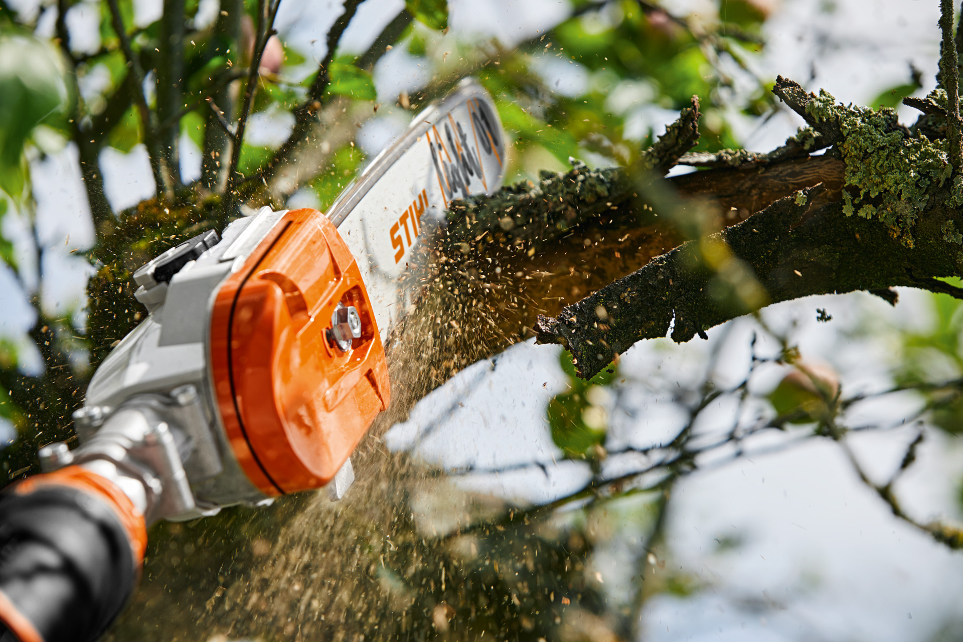 Przycinanie gałęzi drzewa owocowego za pomocą akumulatorowej przycinarki do drewna STIHL GTA 26